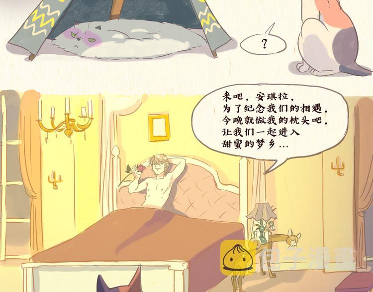 流浪猫（下）4