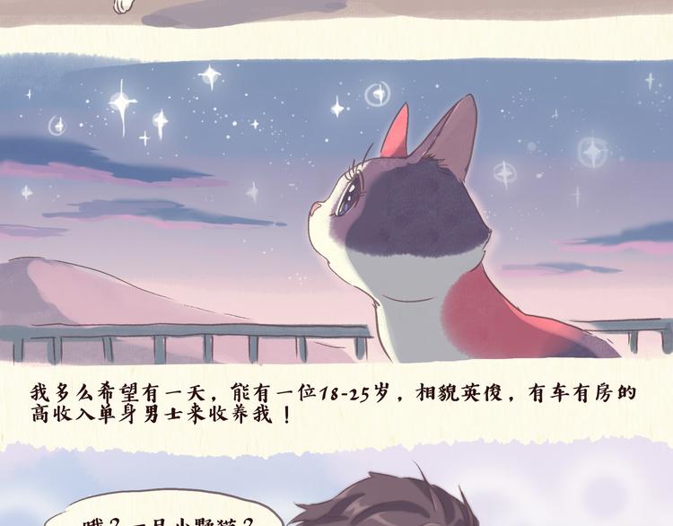 流浪猫（上）9