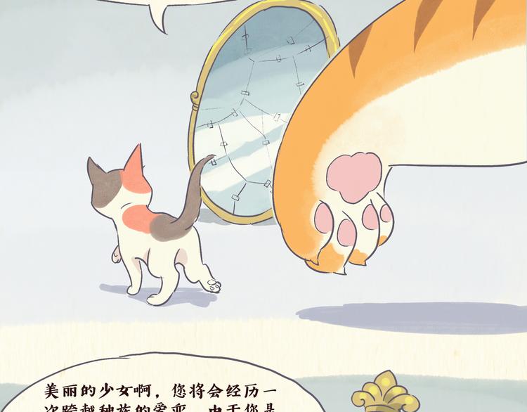 魔镜（下）5