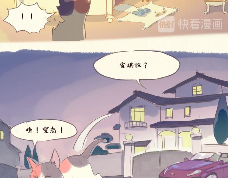 流浪猫（下）5