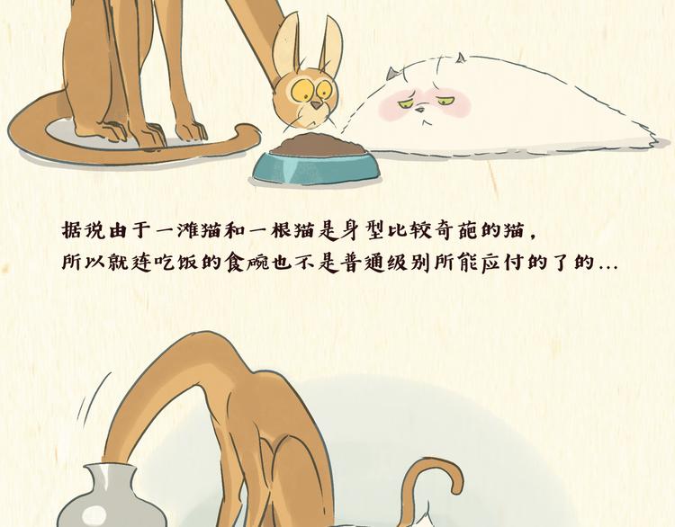 美食（1）1
