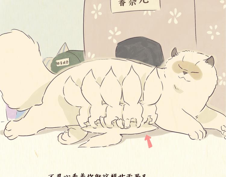初遇4