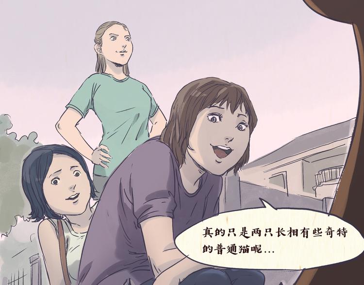 怪谈19