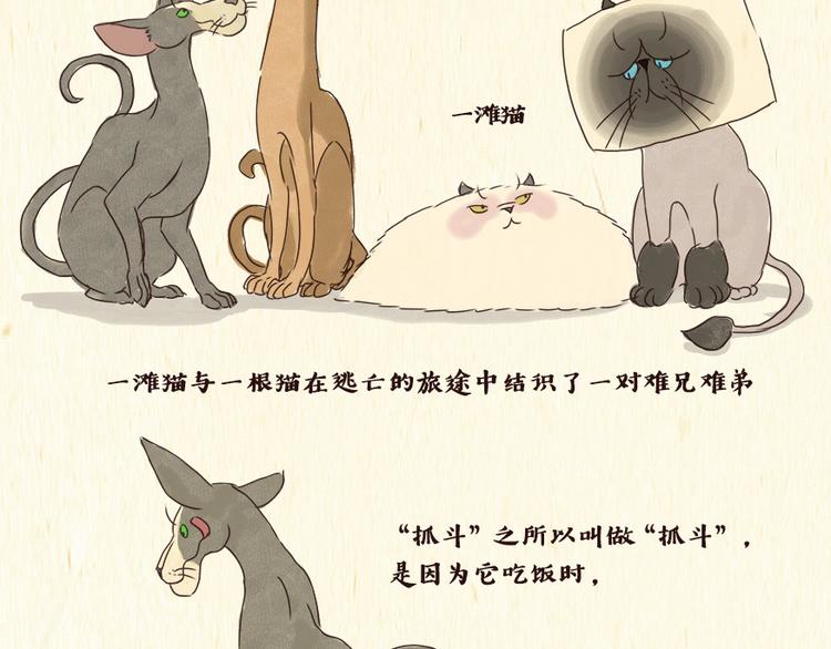 铲屎官1