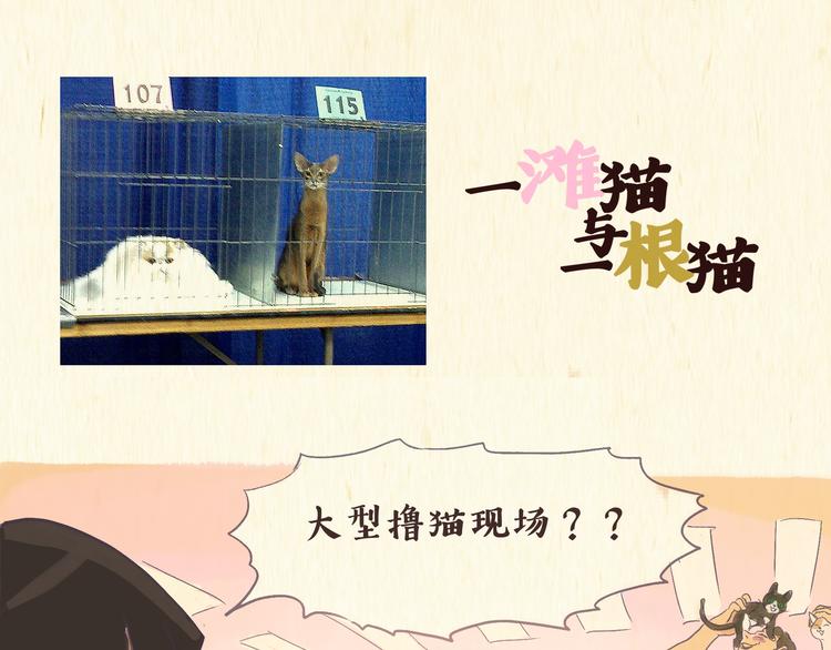 健身房（下）0