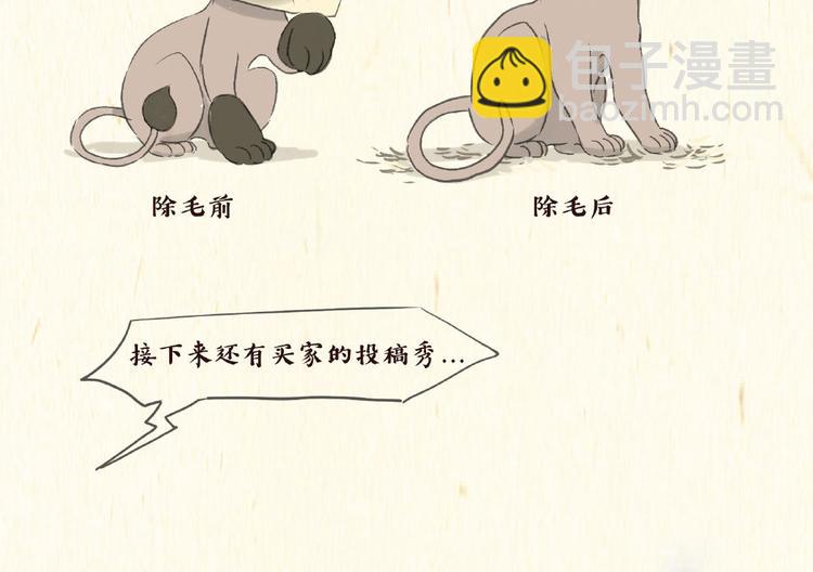 除毛12