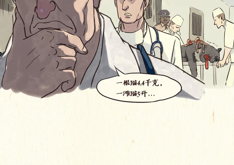 戒猫12