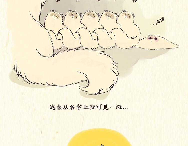 出逃，过往11