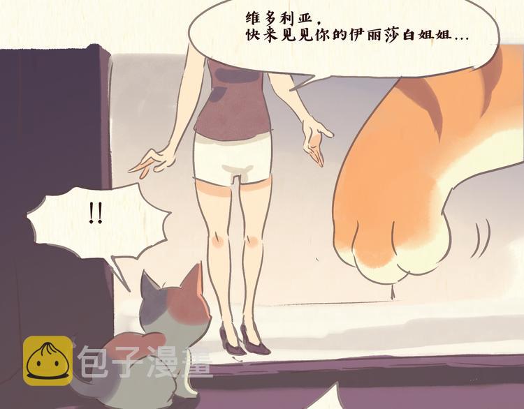 流浪猫（下）11