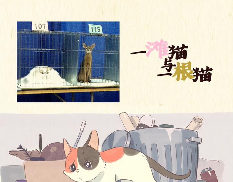 流浪猫（上）0