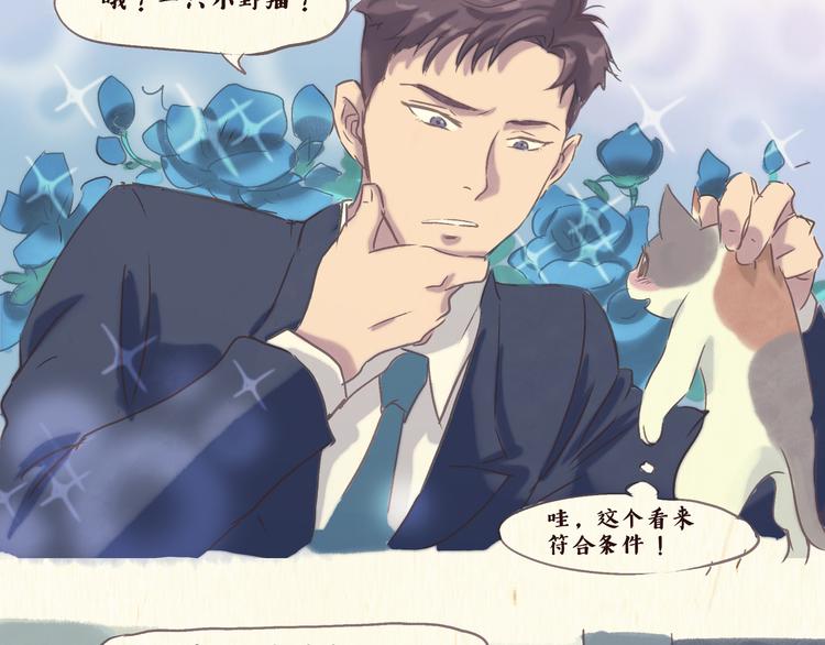 流浪猫（上）10