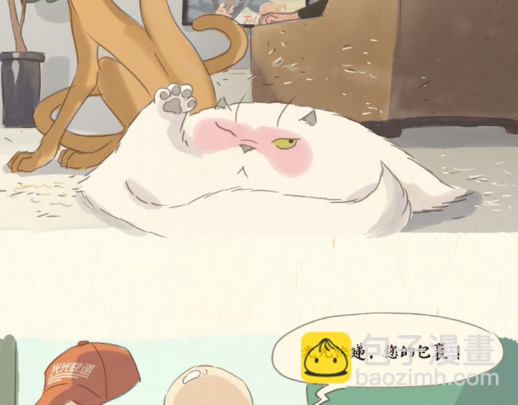 除毛17