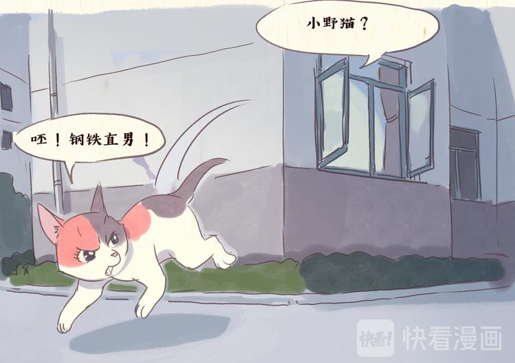 流浪猫（上）12
