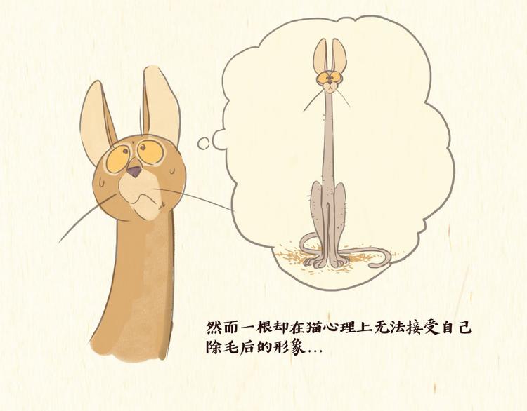 除毛19