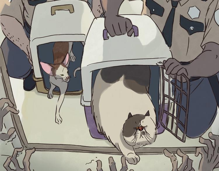 戒猫6