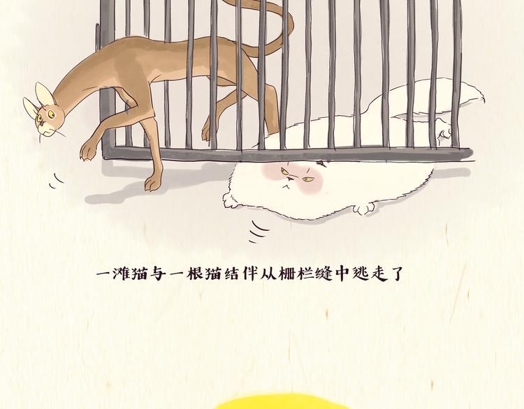 出逃，过往6