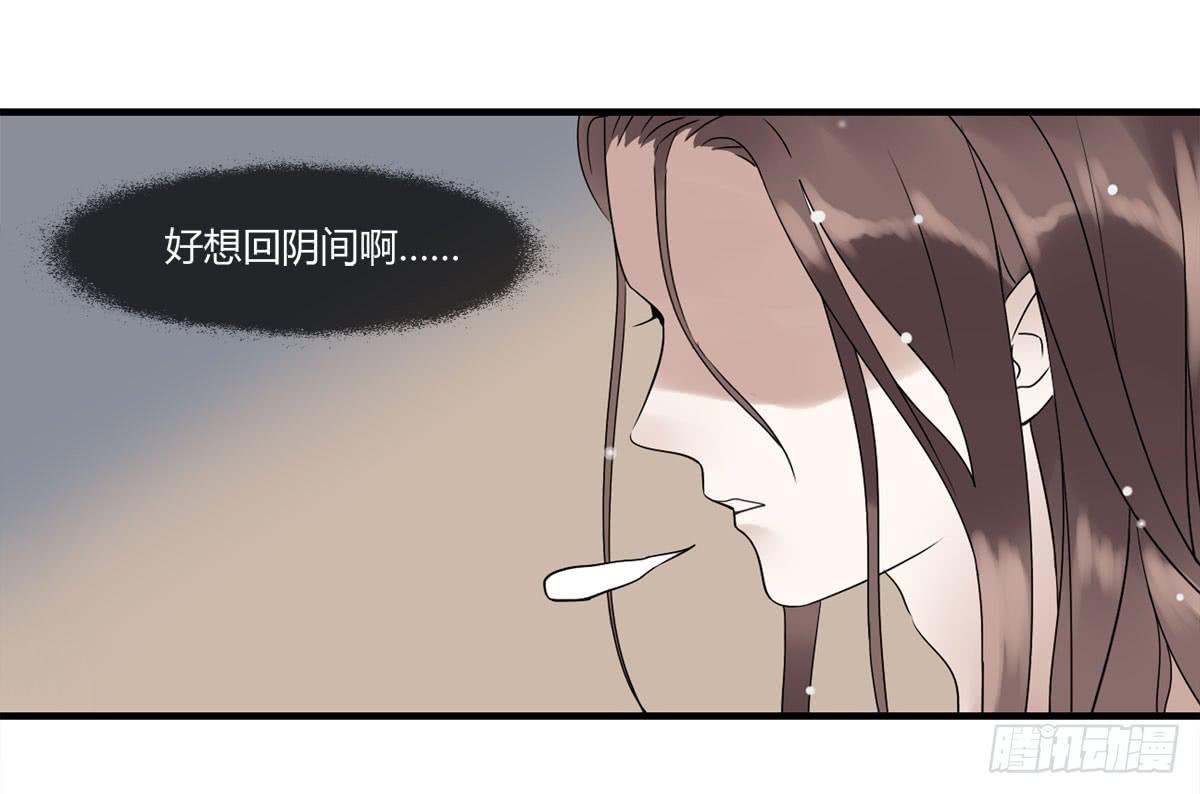 血度牒（4）29