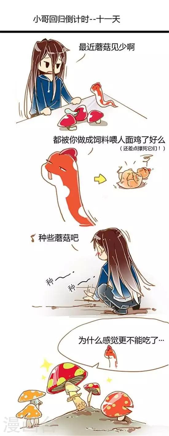 第23话 小哥回归倒计时&amp;amp;#45;&amp;amp;#45;-11天0