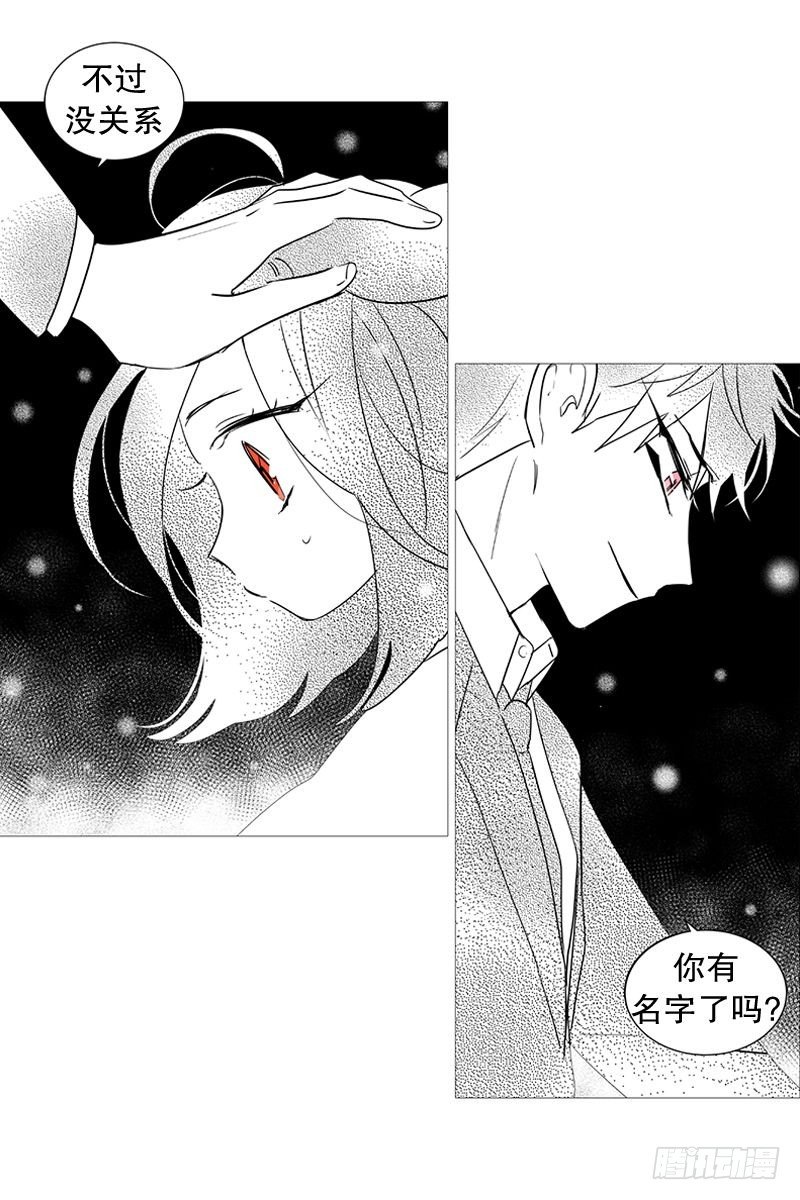 梦13