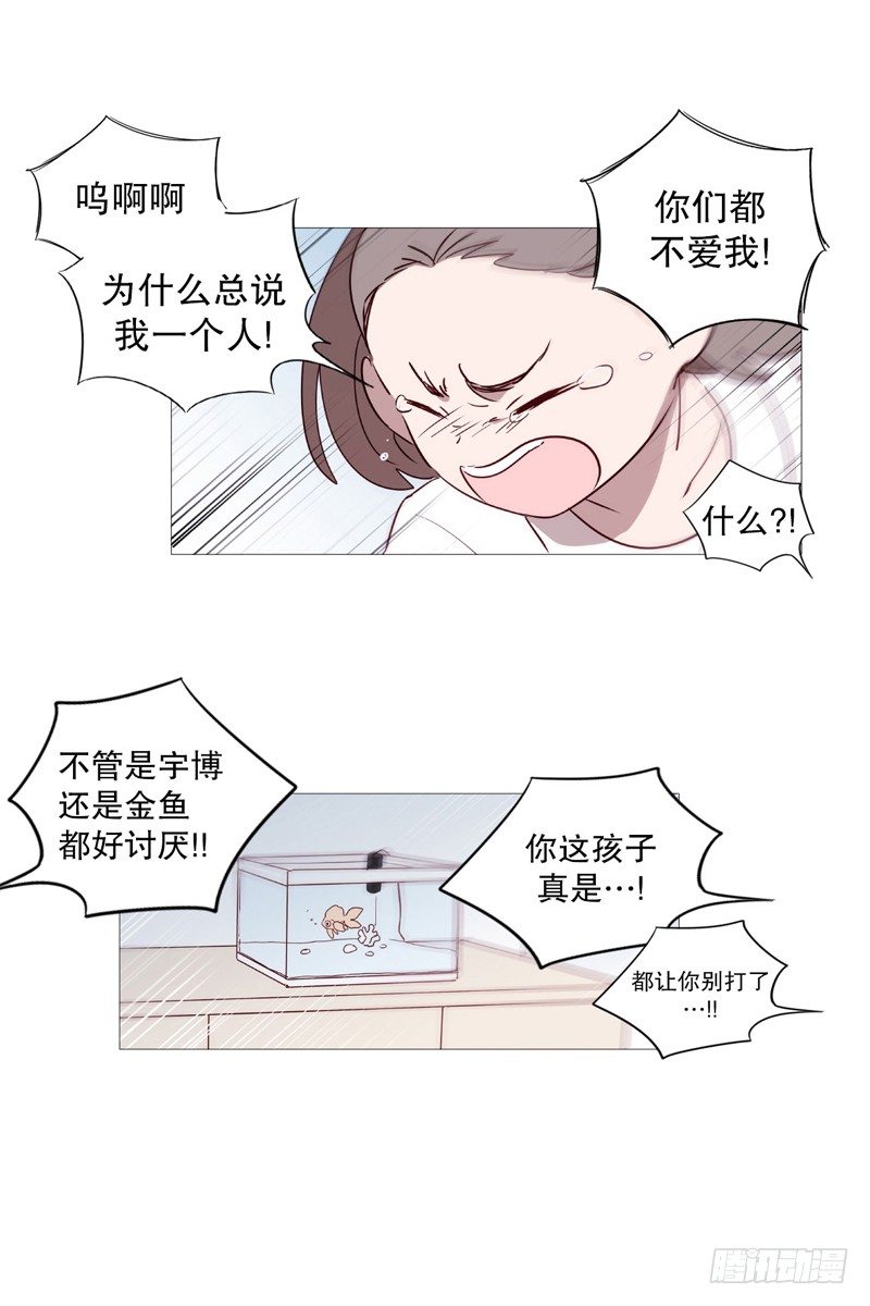 过去12