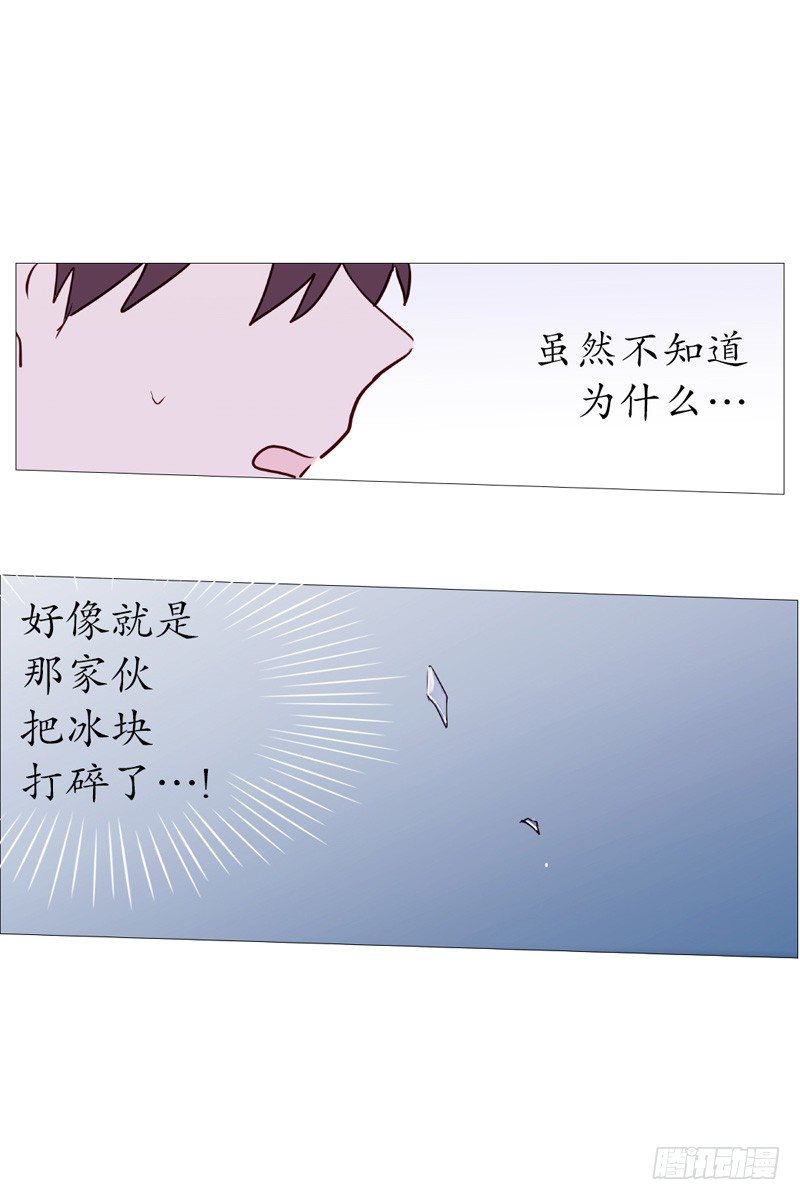 白犬登场6