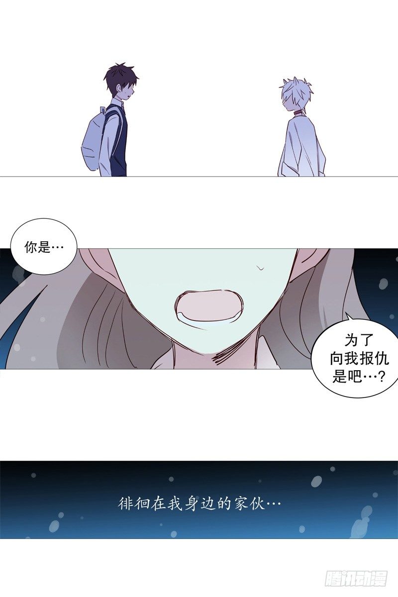 白犬登场13