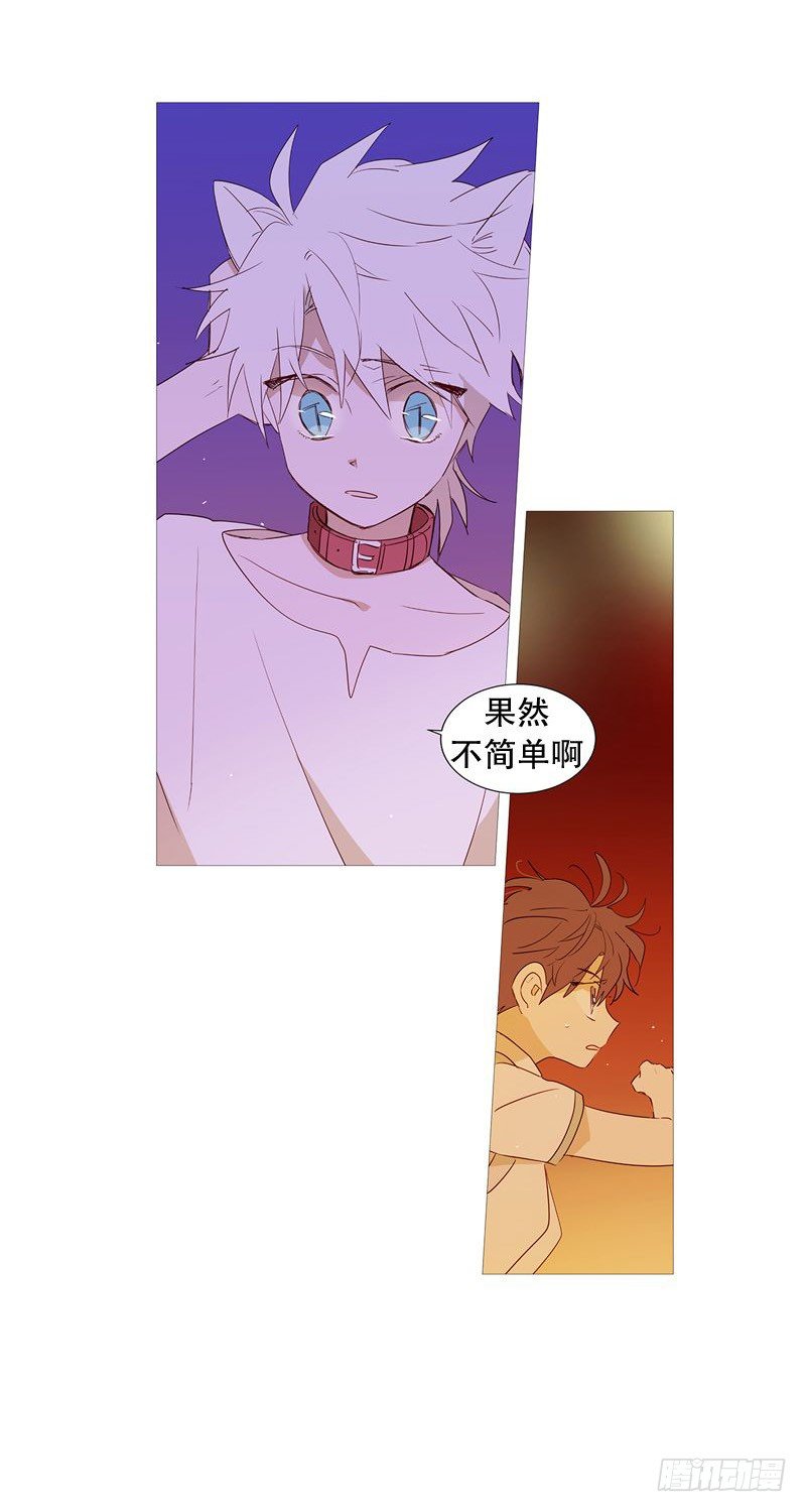 相似21