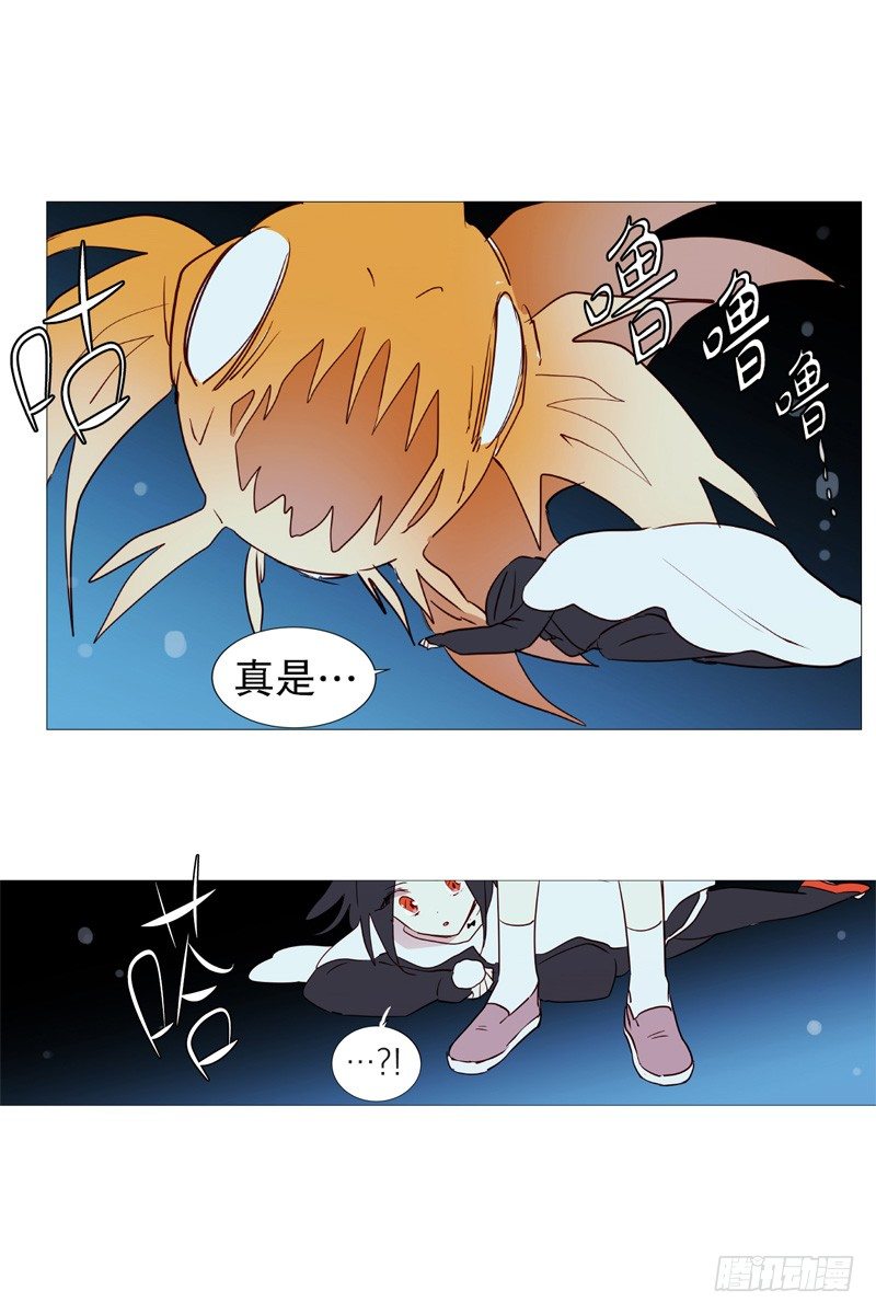 白犬登场10
