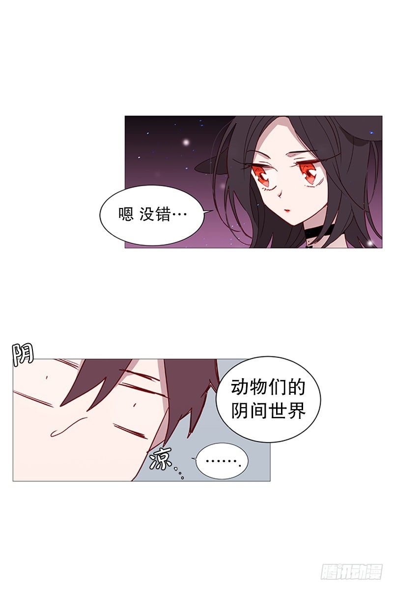 动物们的阴间13