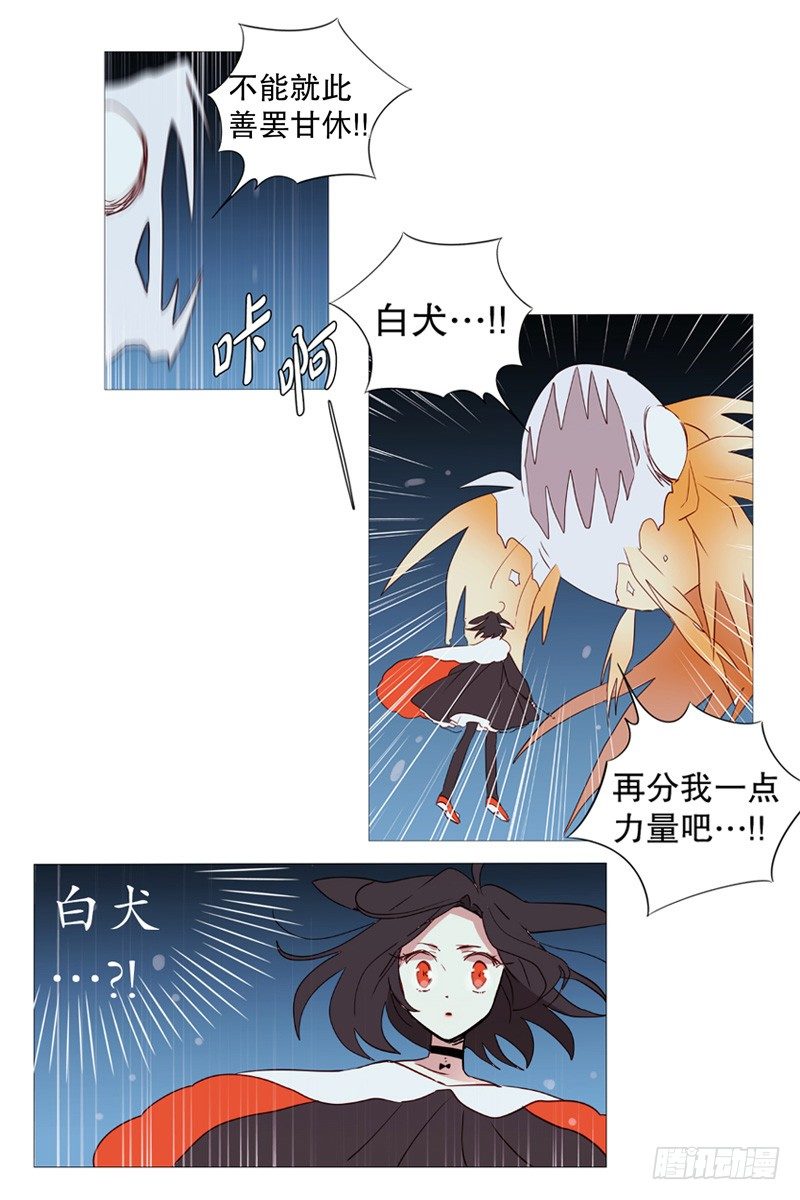 白犬登场0