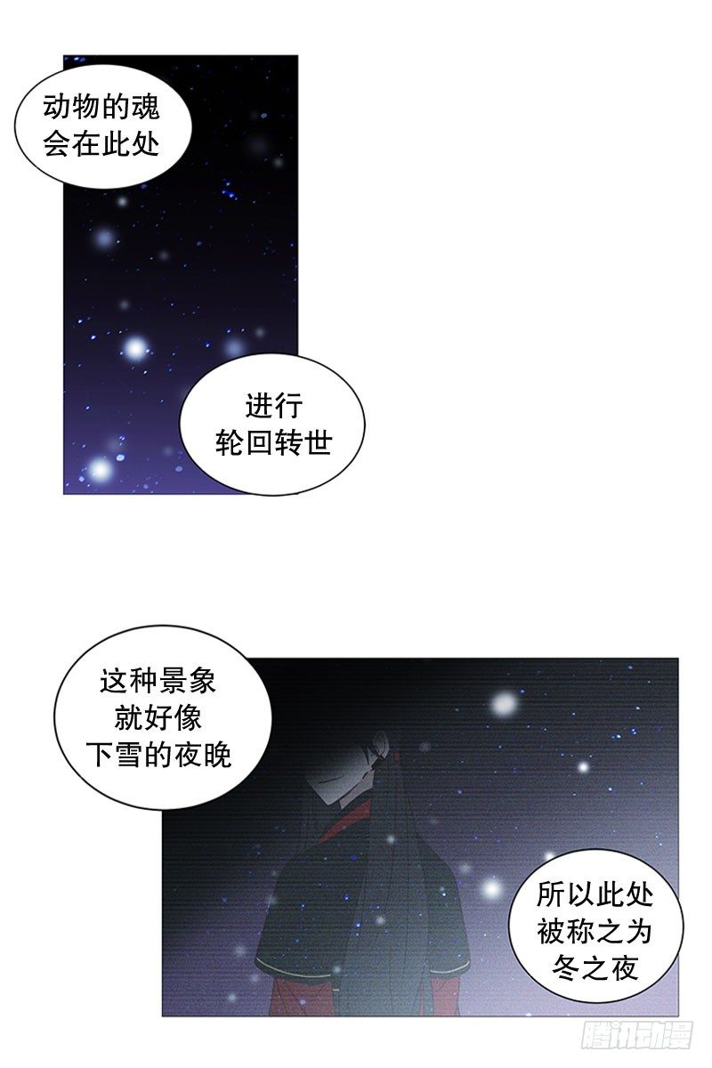 动物们的阴间11