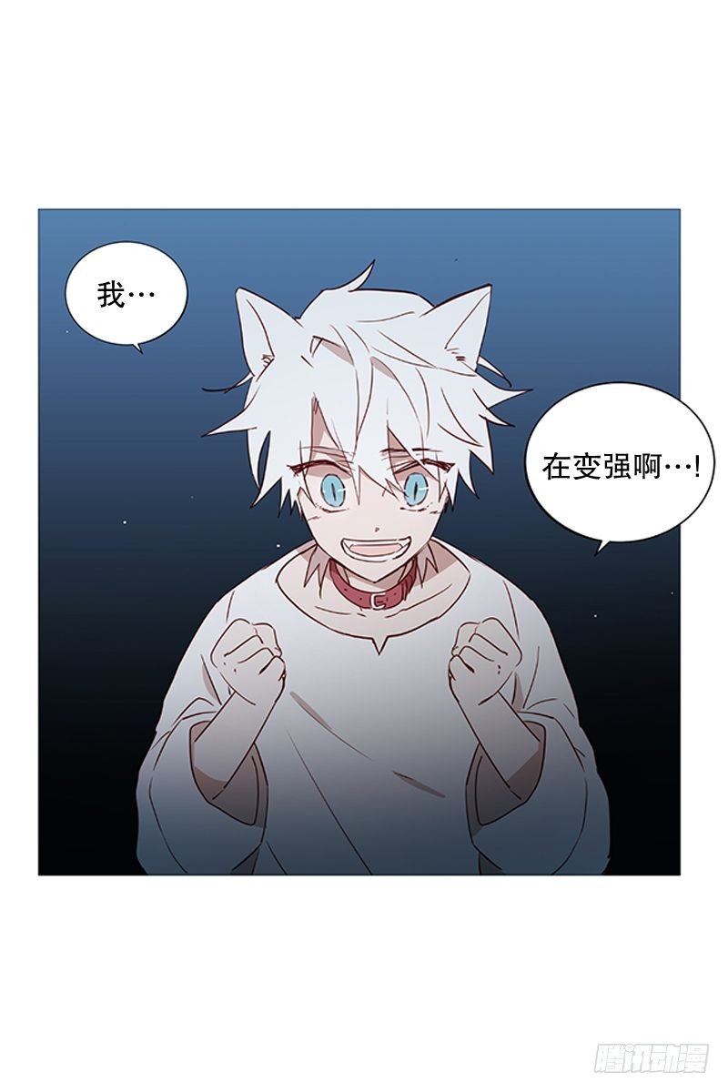 盘算22