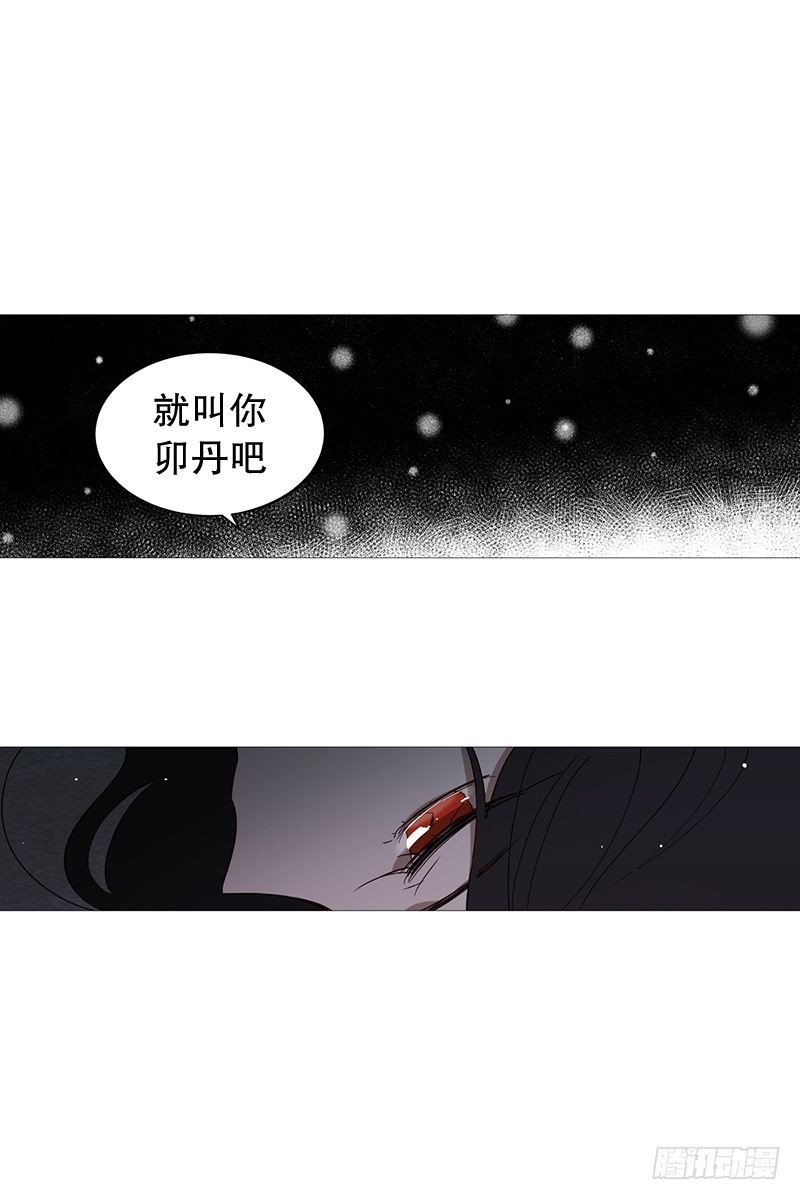 梦15