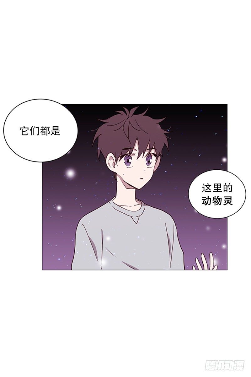 动物们的阴间8
