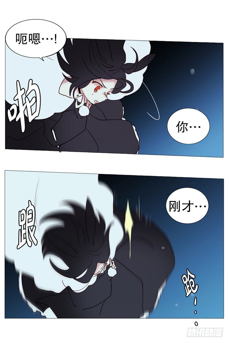 白犬登场8