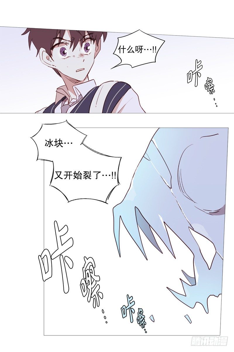 白犬登场3