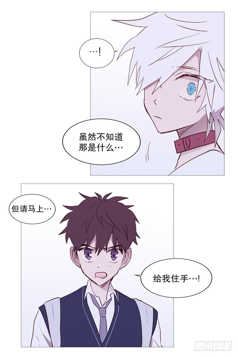 白犬登场12