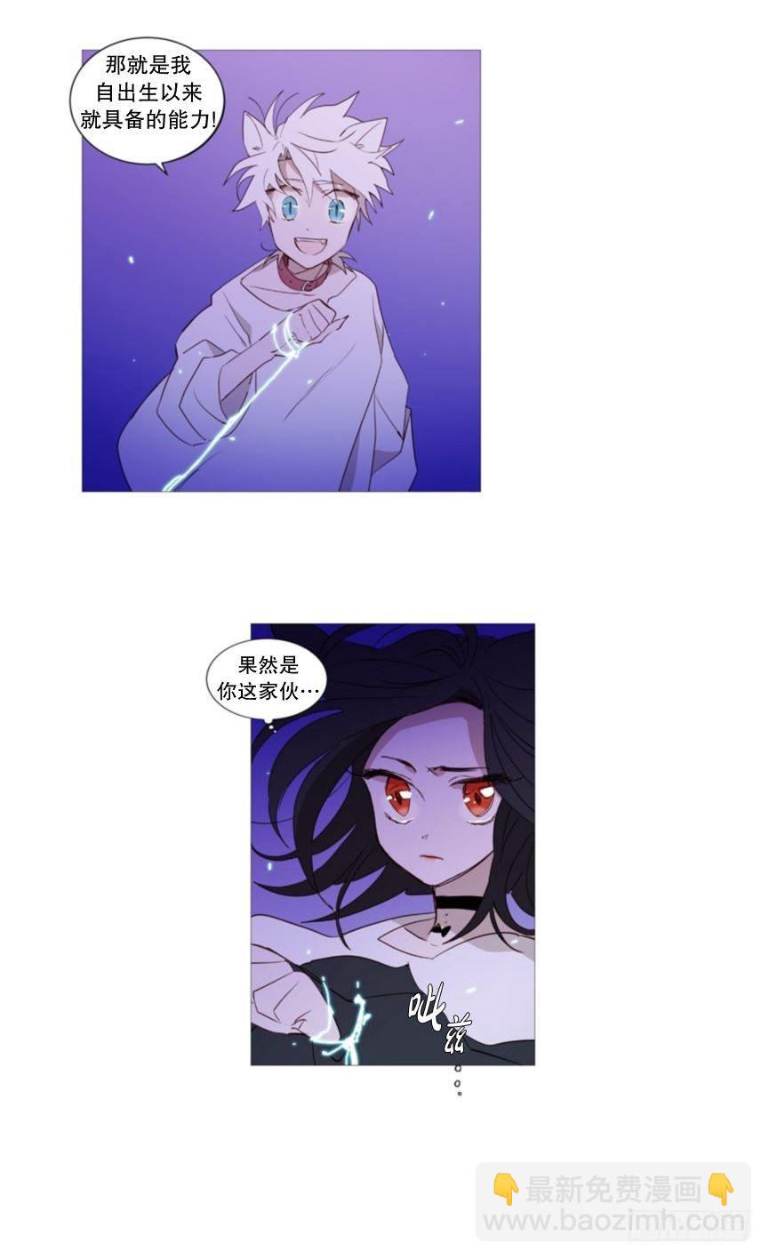 相似11