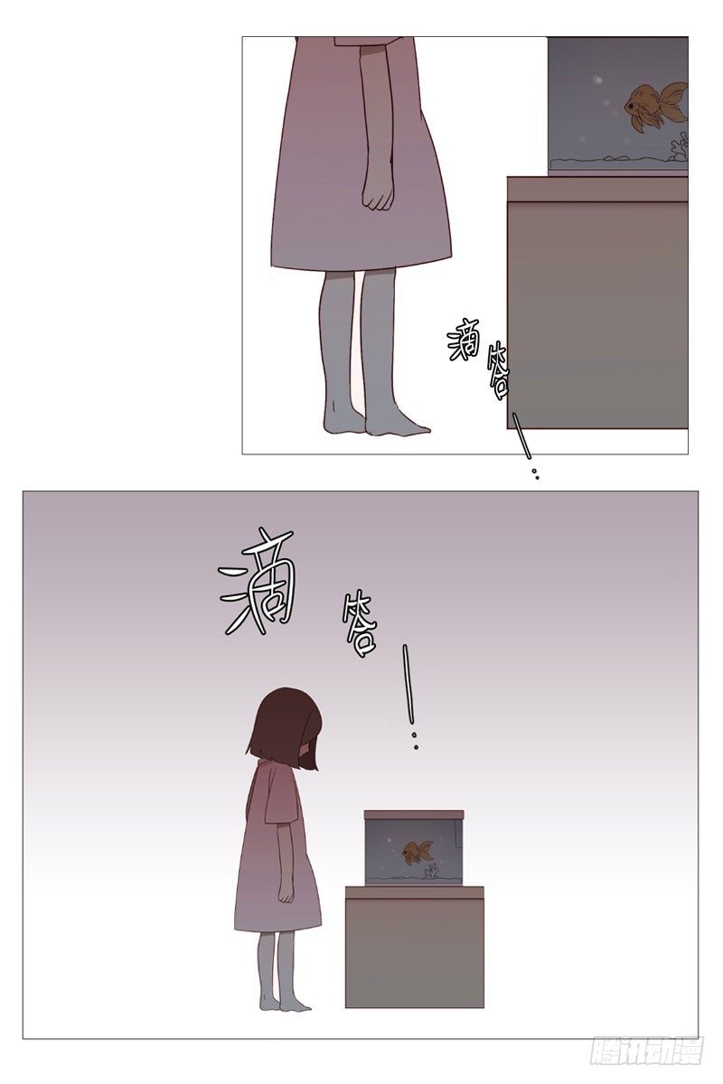 过去14