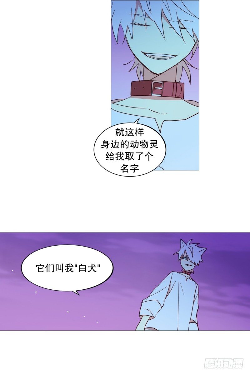 我的名字11