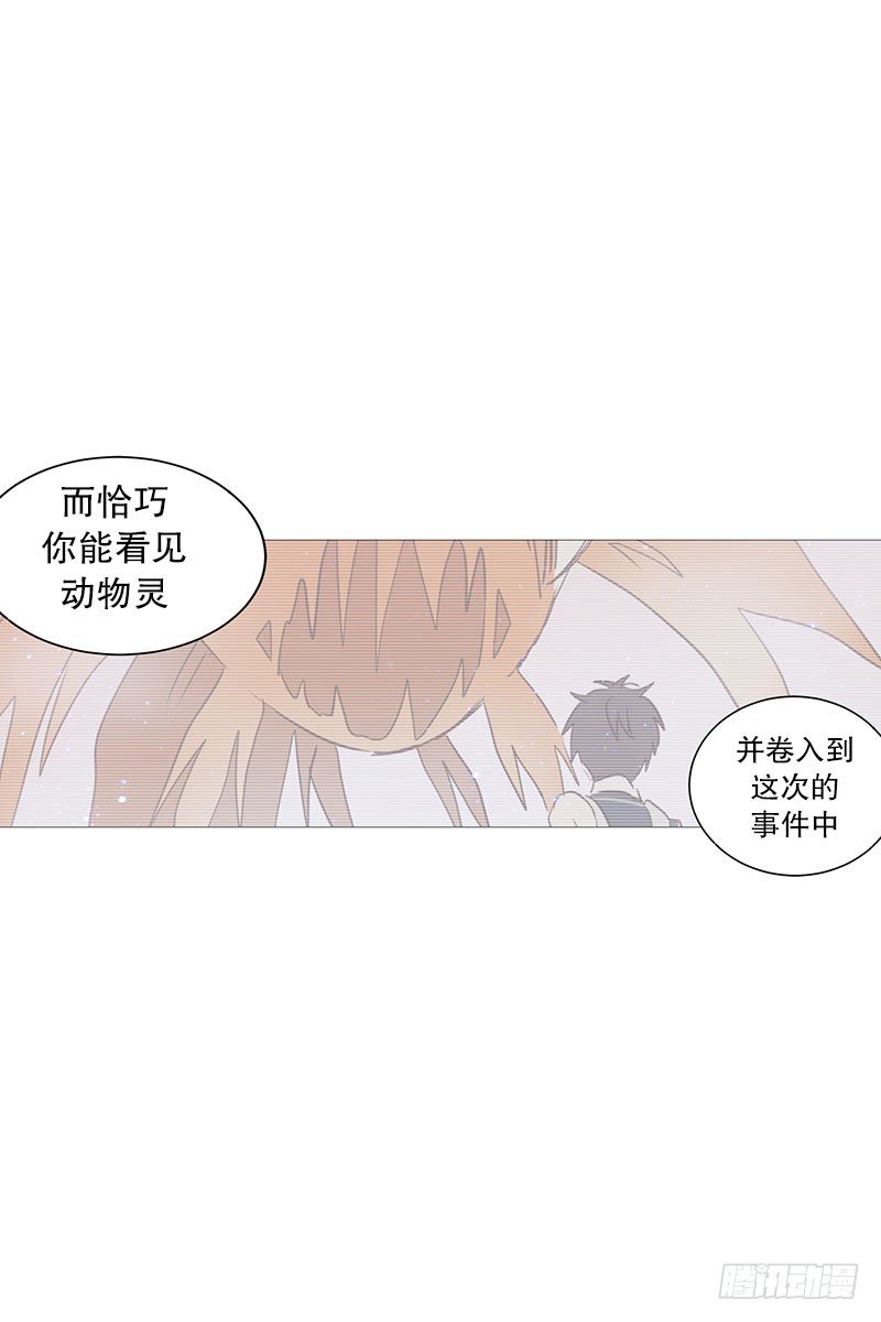 条件13