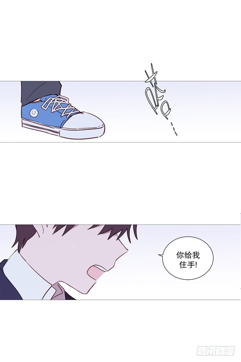 白犬登场11