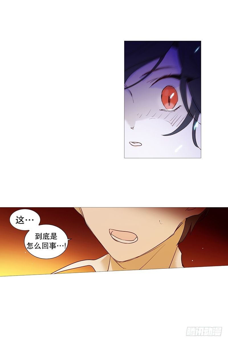 相似14