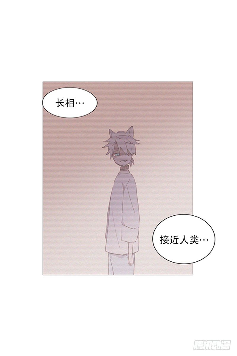 回家3