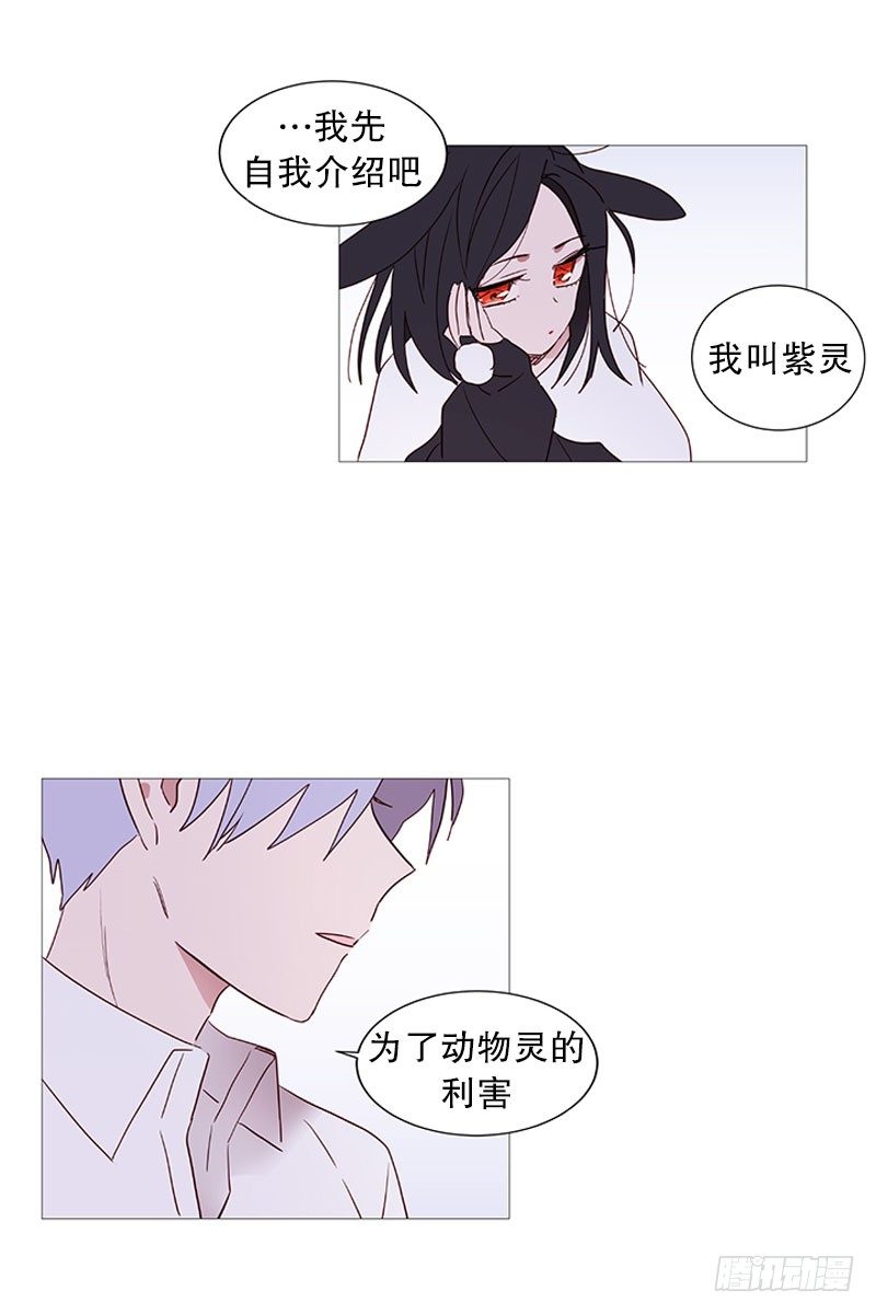 我是紫灵15