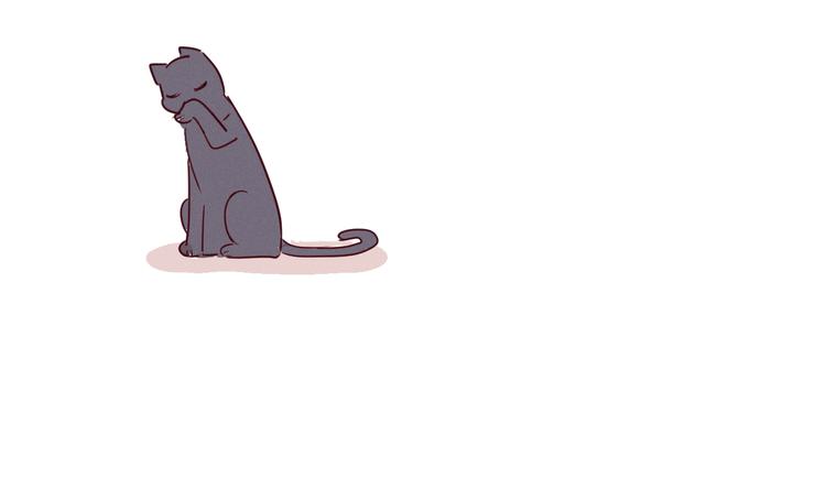 第7话 猫20