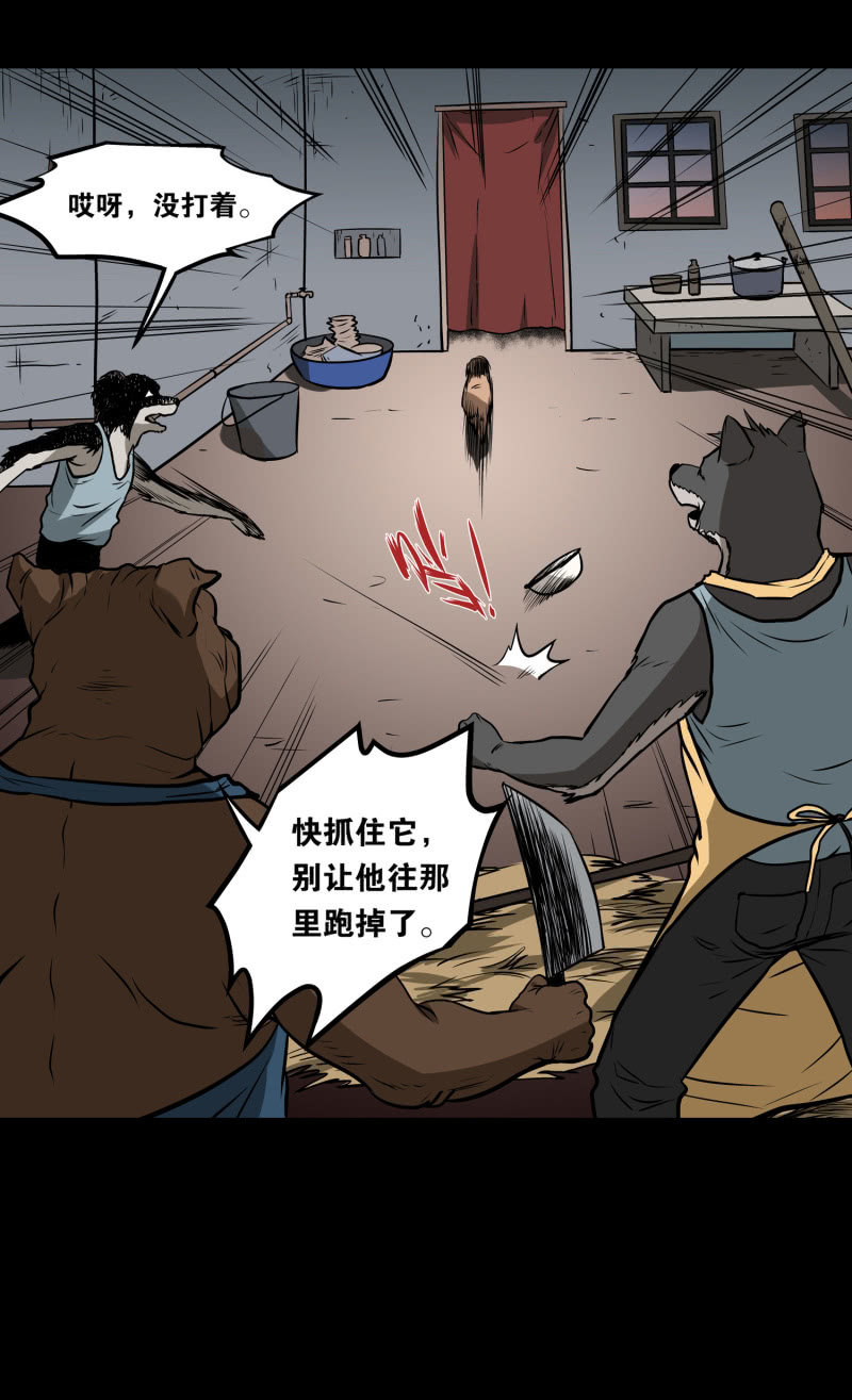狗灵·异世界427