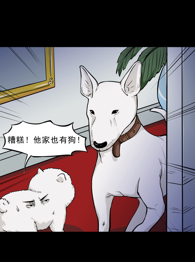 寄生兄弟233