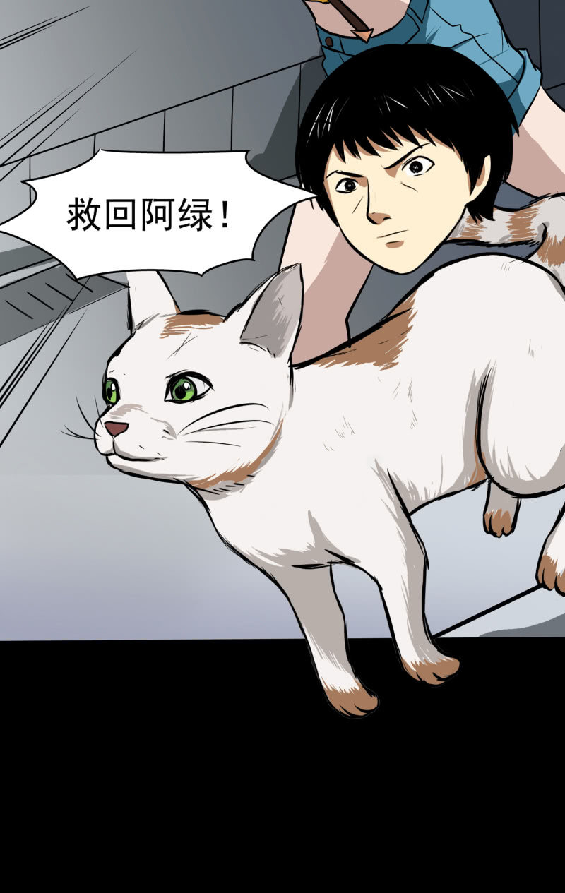 寄生兄弟343