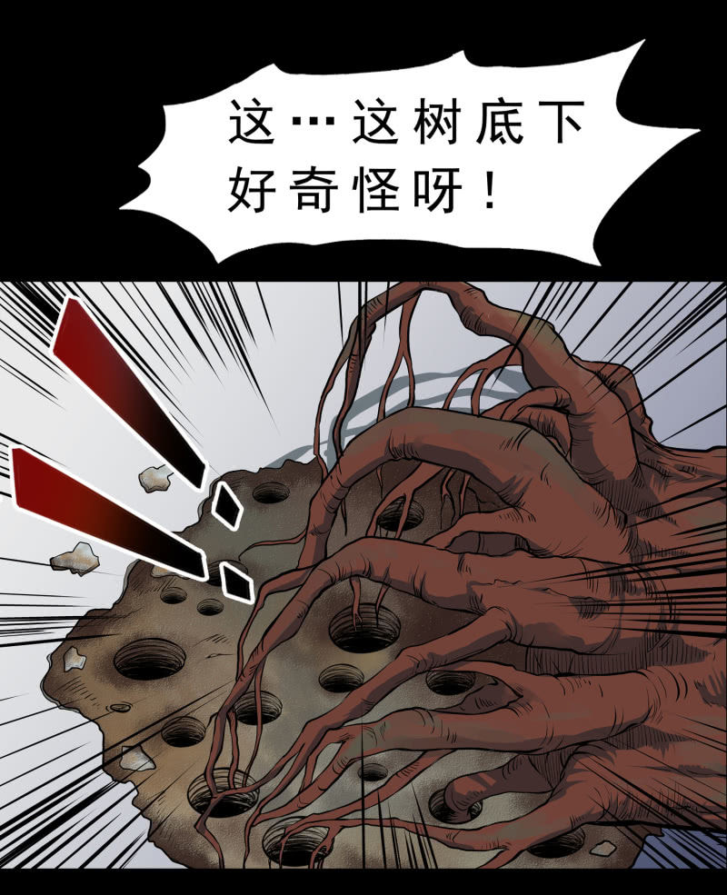 崭新的一天331